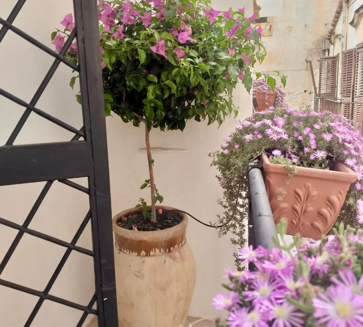 Dream Penthouse Over Main Square Palermo